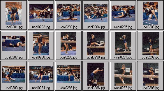 college womens gymnastics photos