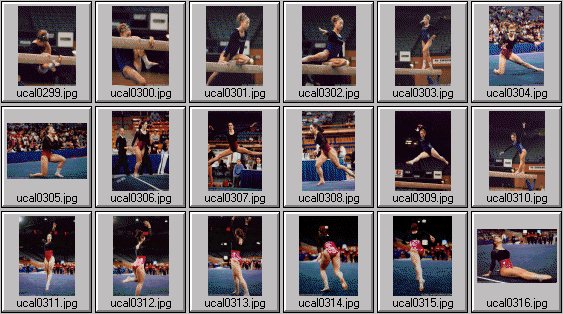 college womens gymnastics photos