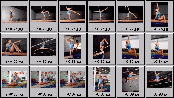 college womens gymnastics photos