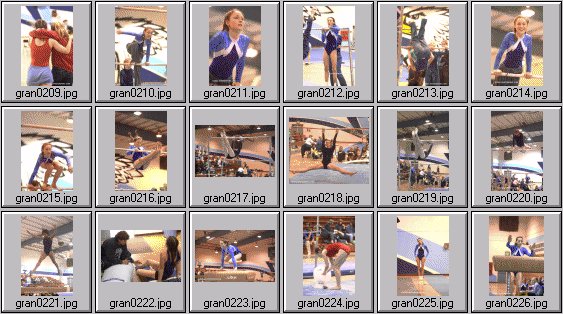prep womens gymnastics photos