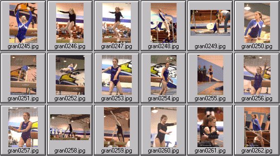 prep womens gymnastics photos