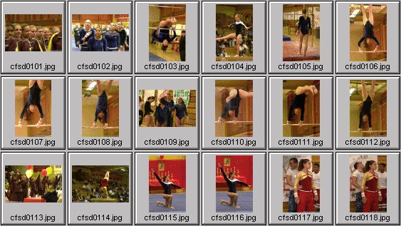 prep womens gymnastics photos
