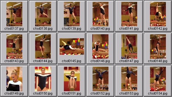prep womens gymnastics photos