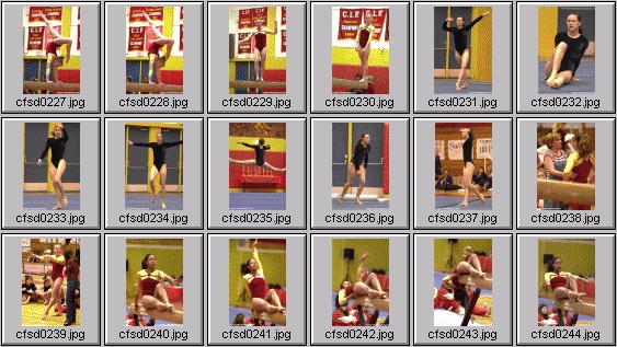 prep womens gymnastics photos