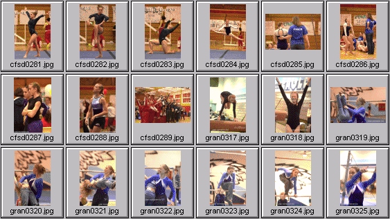 prep womens gymnastics photos