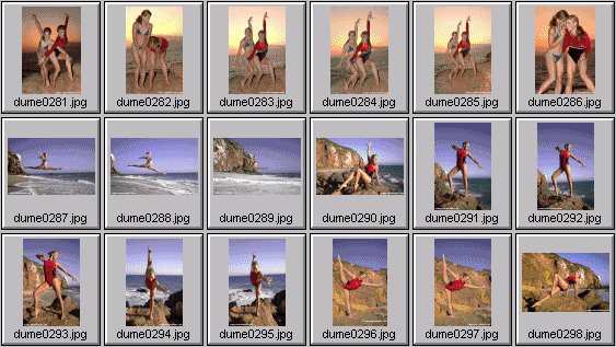 heidi moneymaker, dee fischer, leila khoury, - photos - gymnastics on the beach