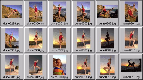 heidi moneymaker, dee fischer, leila khoury, - photos - gymnastics on the beach