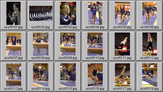 college gymnastics photos