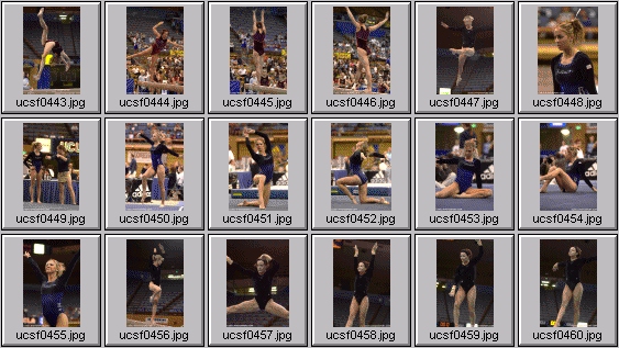 college gymnastics photos
