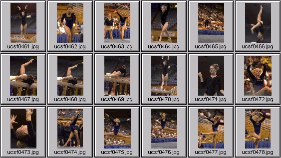 college gymnastics photos