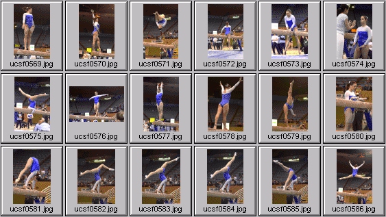 college gymnastics photos