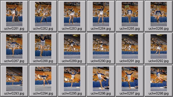 college gymnastics photos