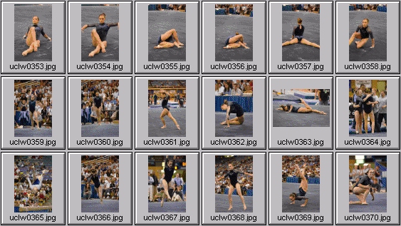 college gymnastics photos