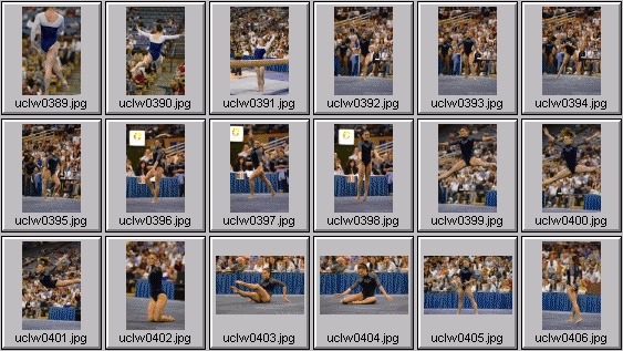 college gymnastics photos