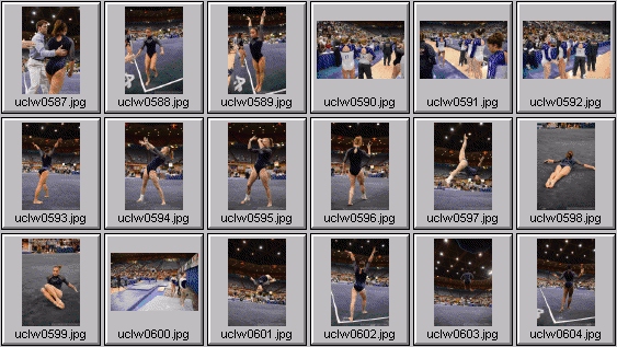 college gymnastics photos
