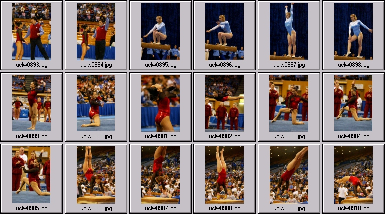 womens gymnasts