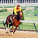 horseracing photos