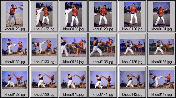 womens martial arts photos