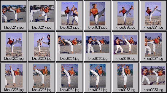 womens martial arts photos