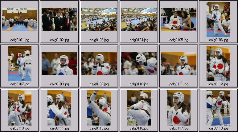 Martial Arts Photos - taekwondo