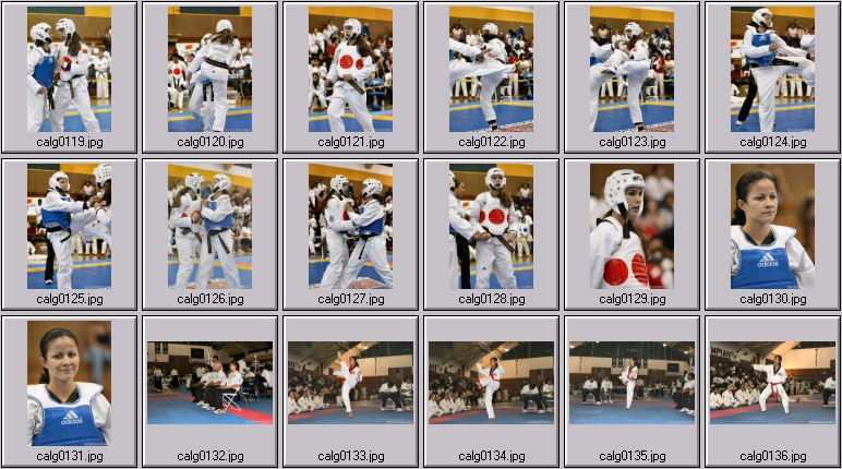 Martial Arts Photos - taekwondo