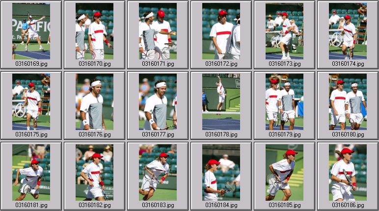 robby ginepri photos