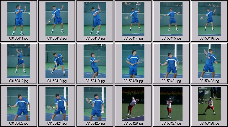 taylor dent lleyton hewitt photos