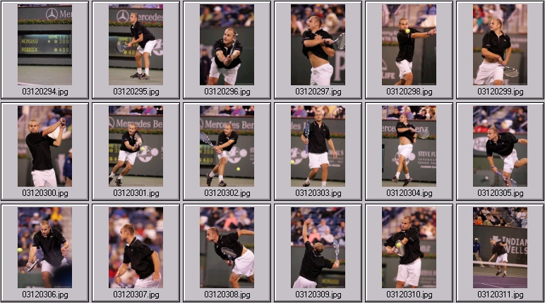 andy roddick photo