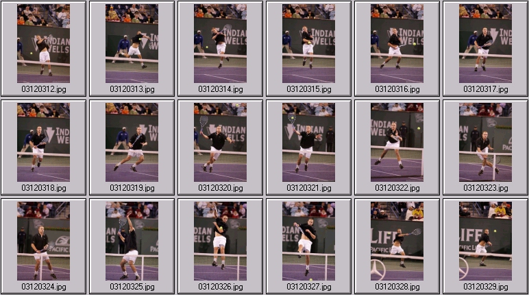 andy roddick photo
