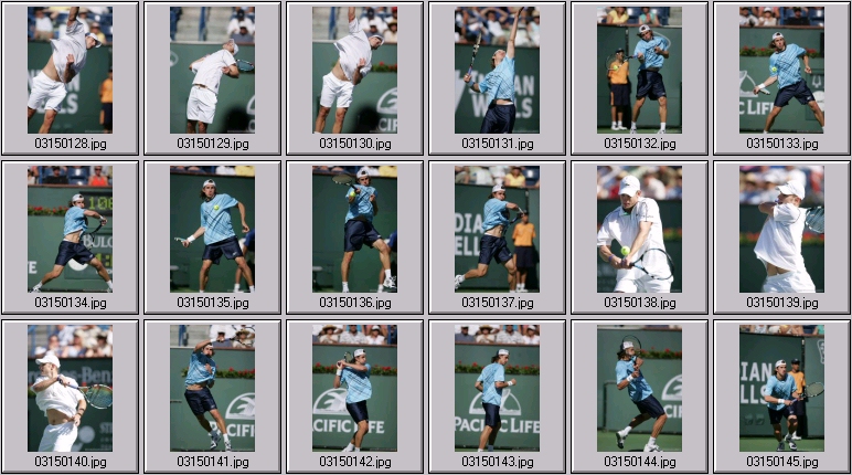 andy roddick