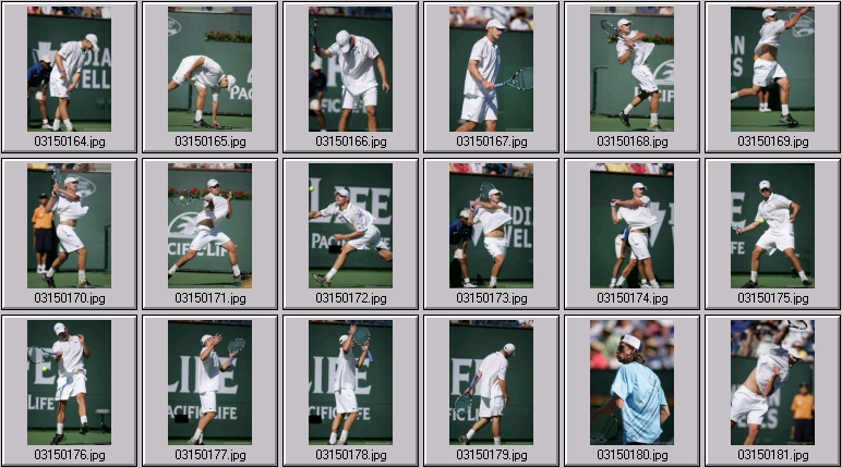 andy roddick