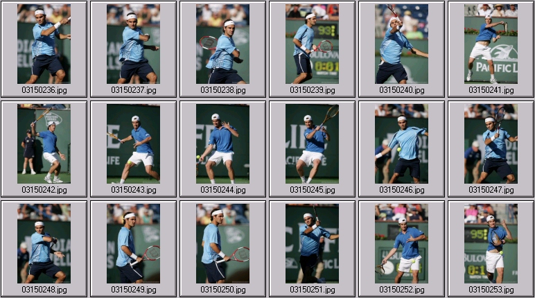 roger federer