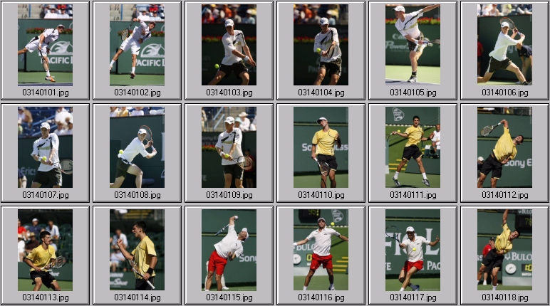 djokovic