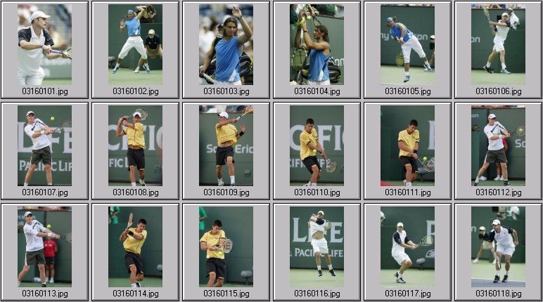 djokovic