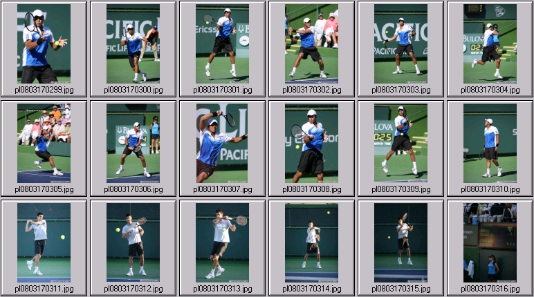 jo-wilfried tsonga