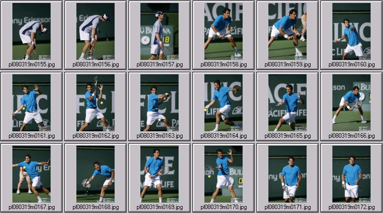 tommy haas