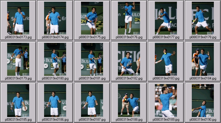andy murray