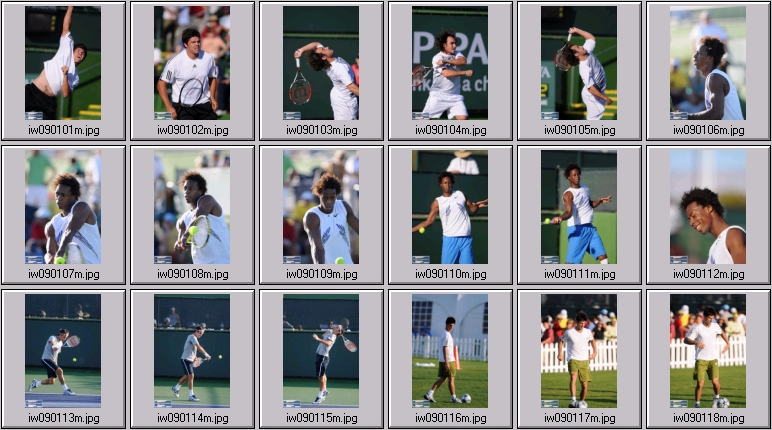 federer photos