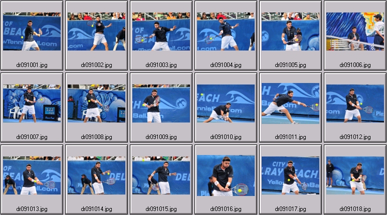mardy fish