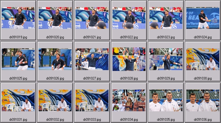 mardy fish