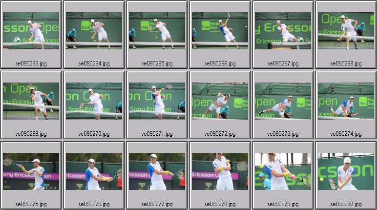 querrey photos