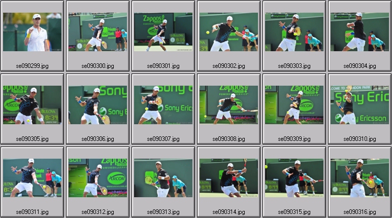querrey photos