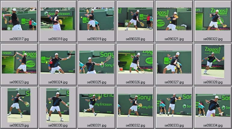 querrey photos