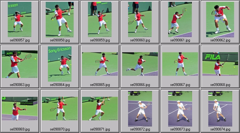 david ferrer