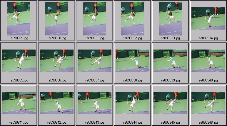 nicolas massu
