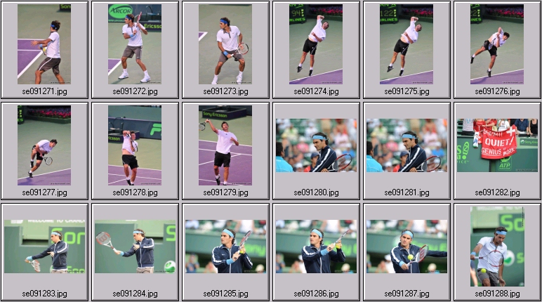roger federer