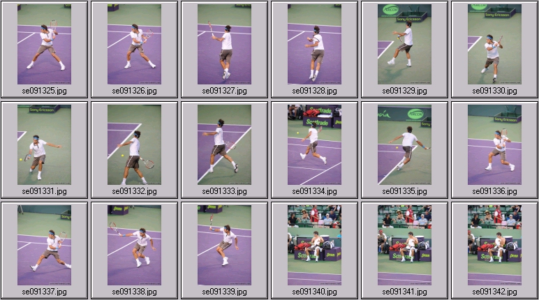 roger federer