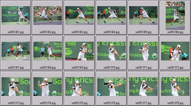 ANDY RODDICK