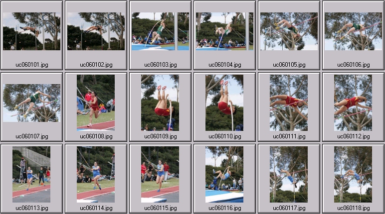 women's polevaulting