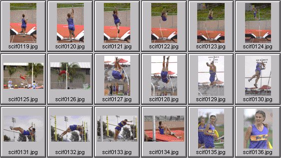 Women's Polevaulting Photos